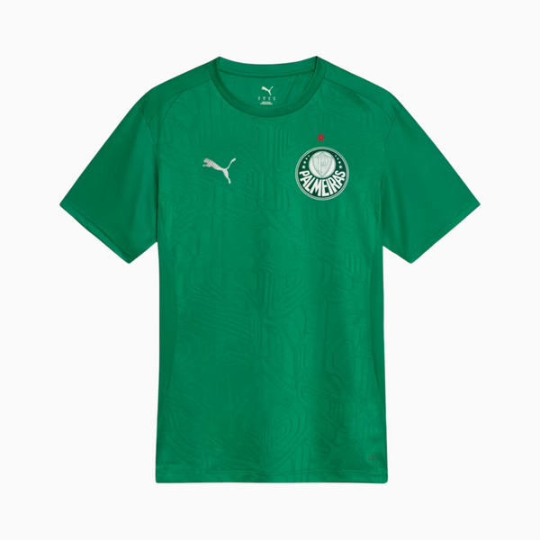 Camisa Palmeiras 2025/26 Treino