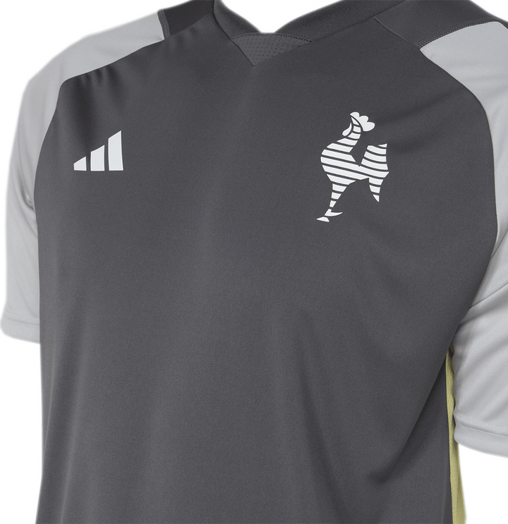 Arquibancada Esportes