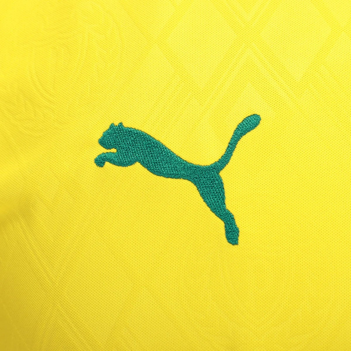 Camisa Puma Palmeiras 2025/26 III Torcedor